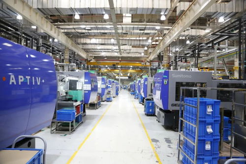 嘉定智能工廠再升級(jí) 六萬平米藍(lán)圖下的企業(yè)咨詢服務(wù)新篇章