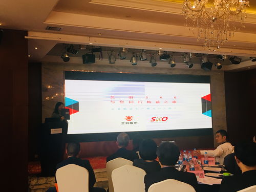 藝羽SKO助力寧波鎮海區舉辦規上企業管理診斷服務會，精準賦能企業高質量發展